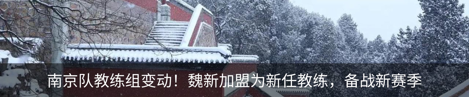 新闻动态
