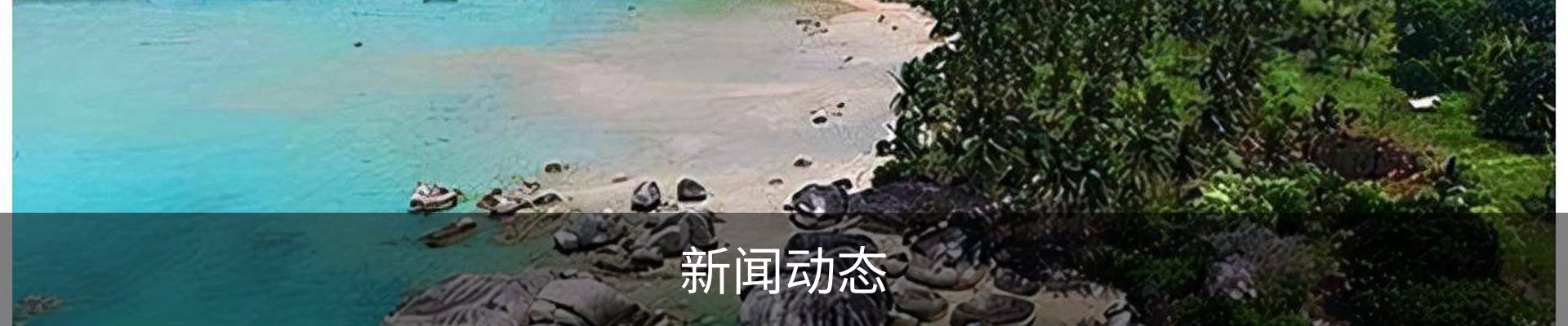 新闻动态